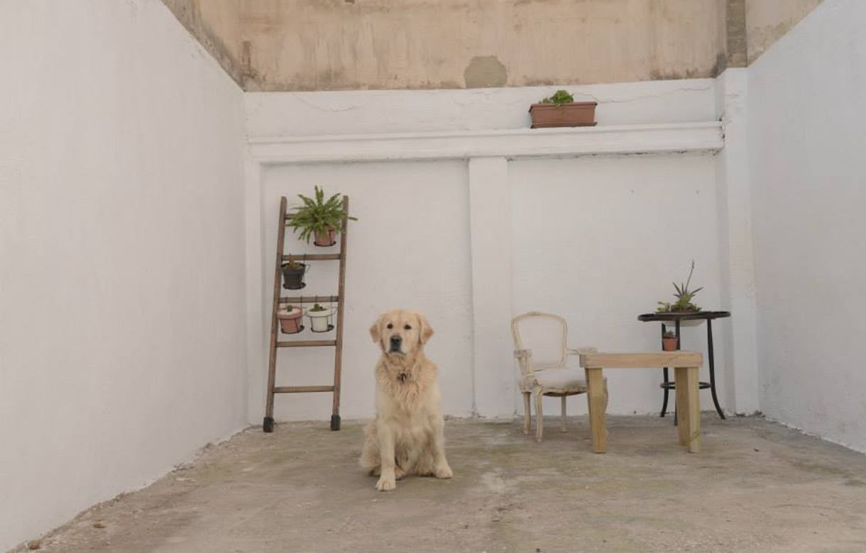 Espacio coworking en Ruzafa Valencia. Nostromo coworking (con patio interior)