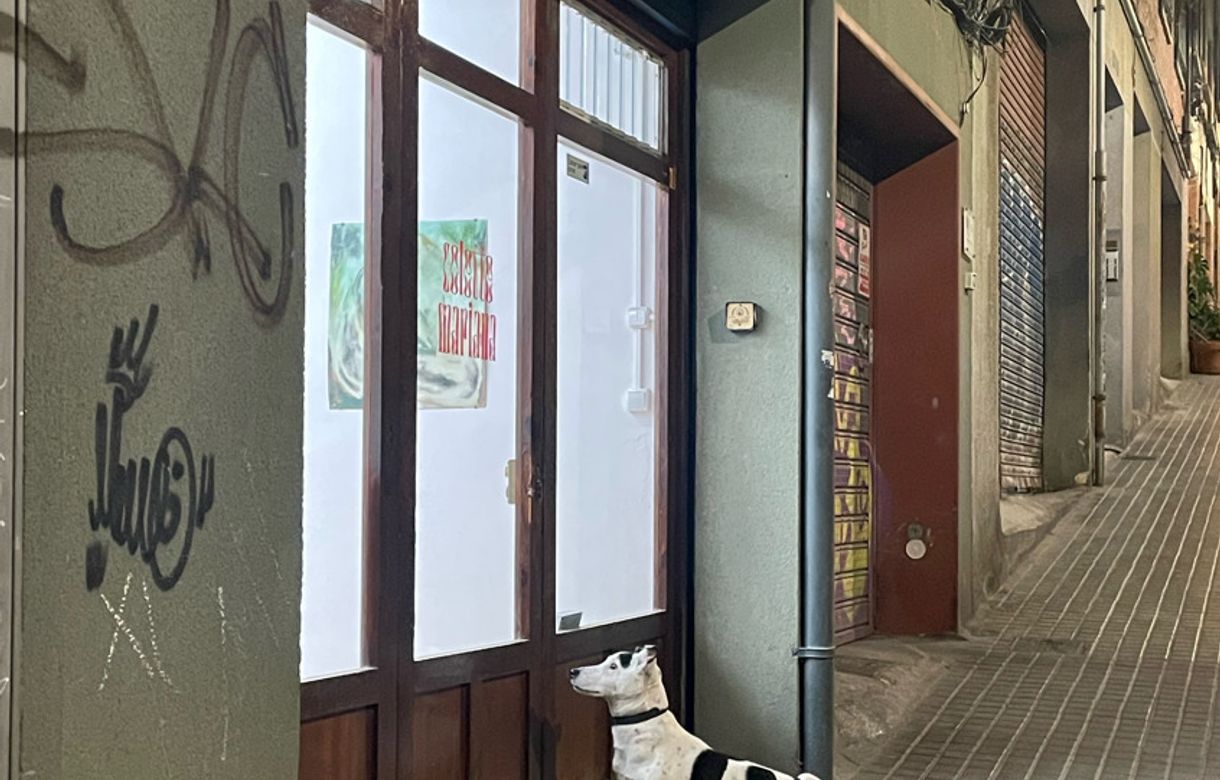 Estudio Poble Sec | Estudio Poble Sec 999 Roses