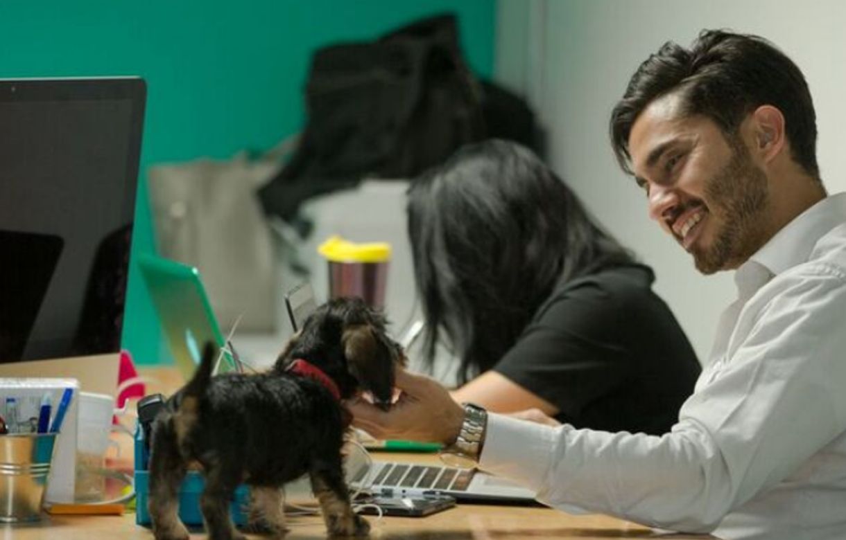 Espacios DF - Coworking y oficinas