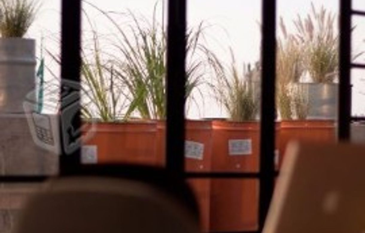 Workspace | Estudio | taller para artistas