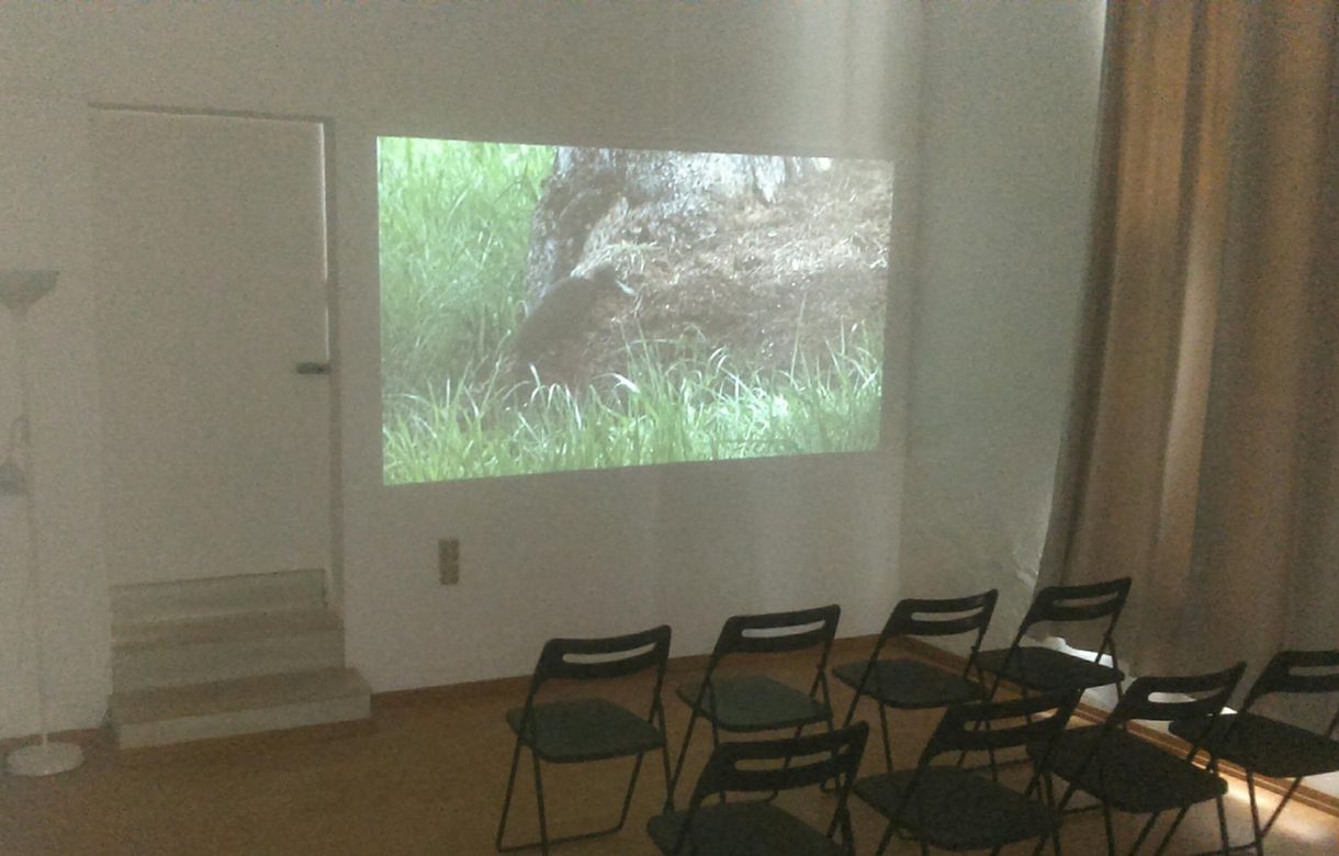 Espacio para yoga y diferentes terapias en alquiler