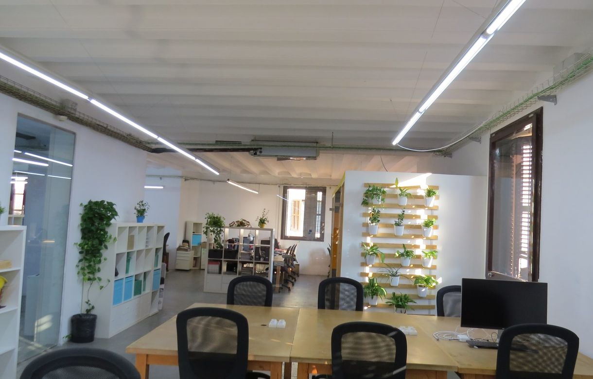 Coworking plaza real (Plaça Reial) Barcelona