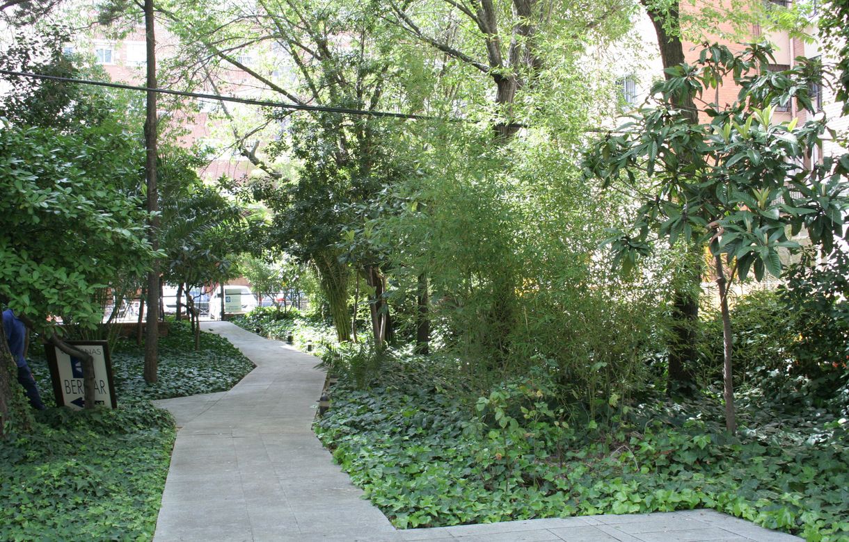 Oficina compartida con jardín