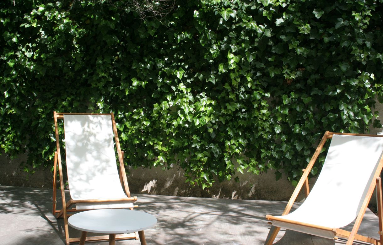 Oficina compartida con jardín