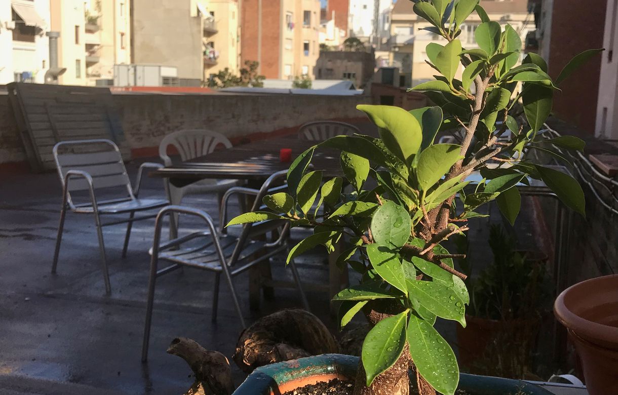 Taller de arte y artesanía | Taller en Gracia |  Crafts Studio