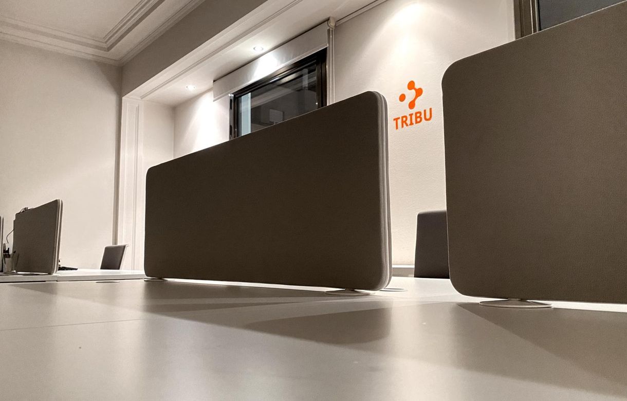 Tribu app | Estudio compartido