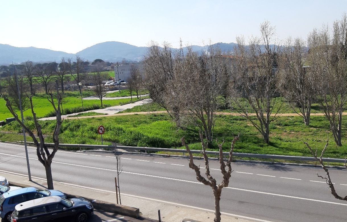 alquiler inmobiliaria compartida