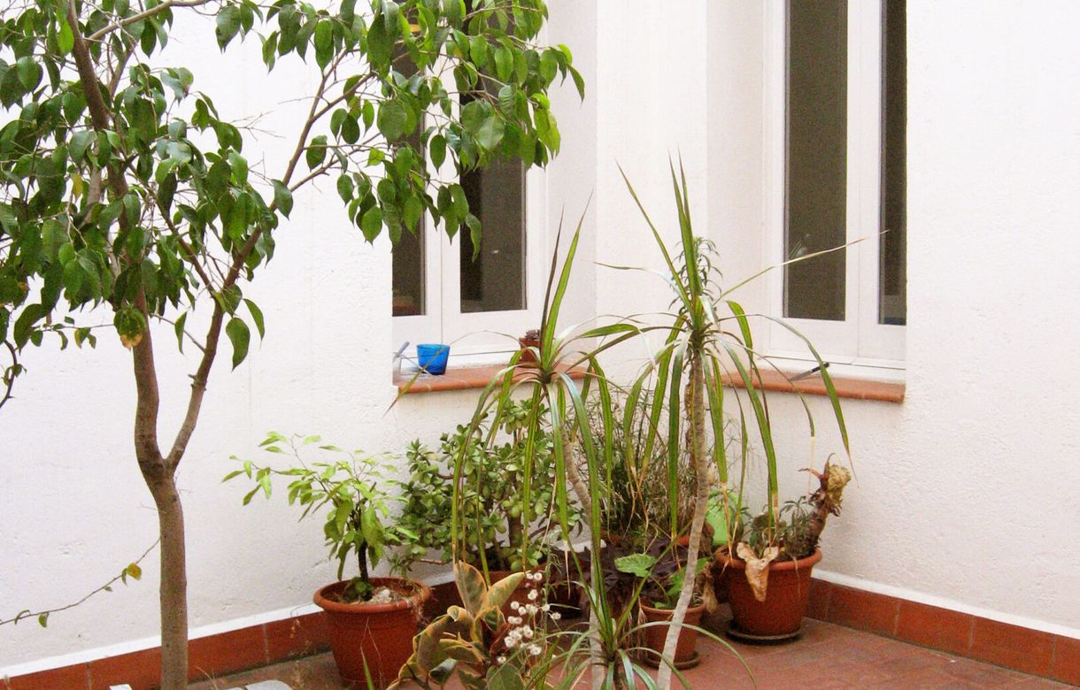 Es lloga despatx en sala compartit