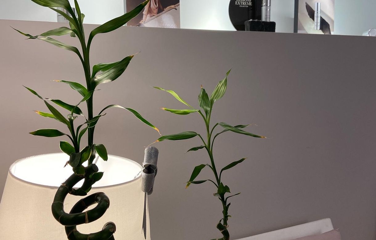 Centro estetica Yecla, Murcia