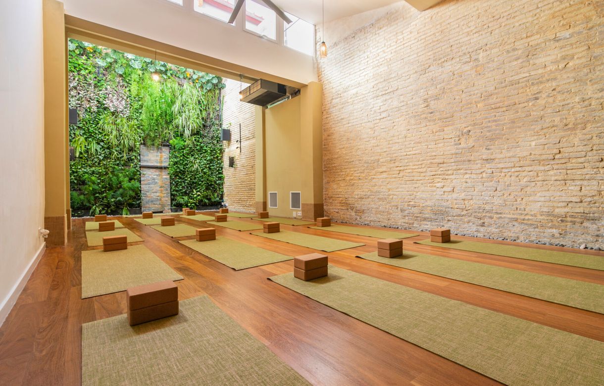 salas de yoga para alquilar | Descubre la tranquilidad en Blue Morpho