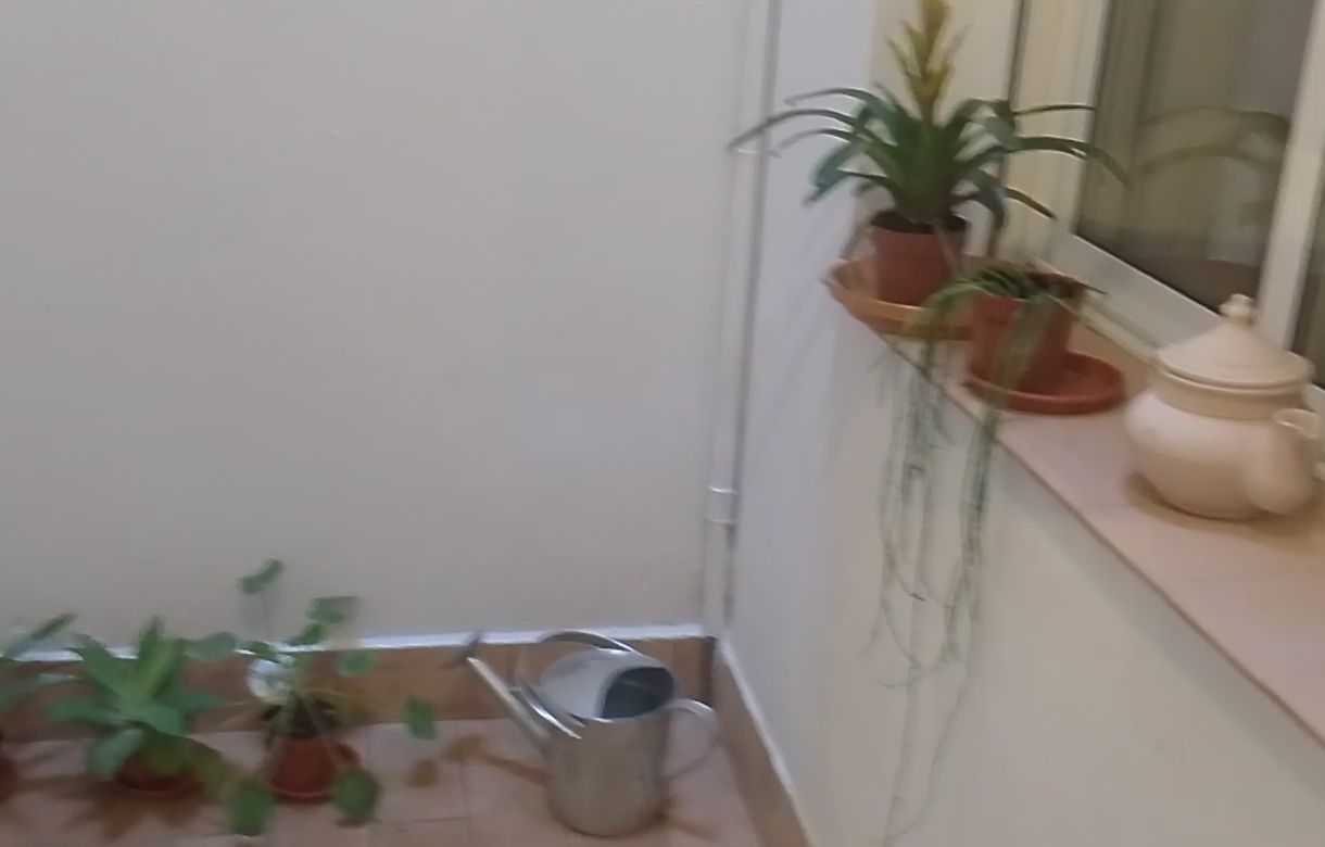 Alquiler salas Sevilla | Alquiler por horas | Yoga, Meditación, masajes, talleres…