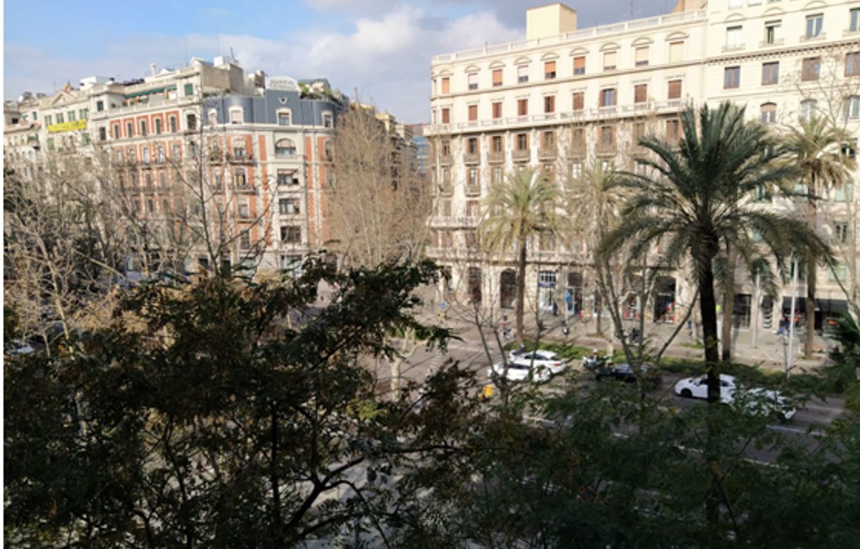 Alquiler despachos | Zona Francesc Macià | Jurídico - económico - Image 5