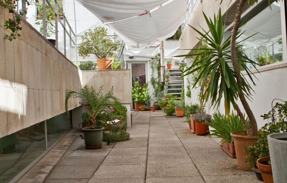 Sala fiestas Madrid  - Image 7