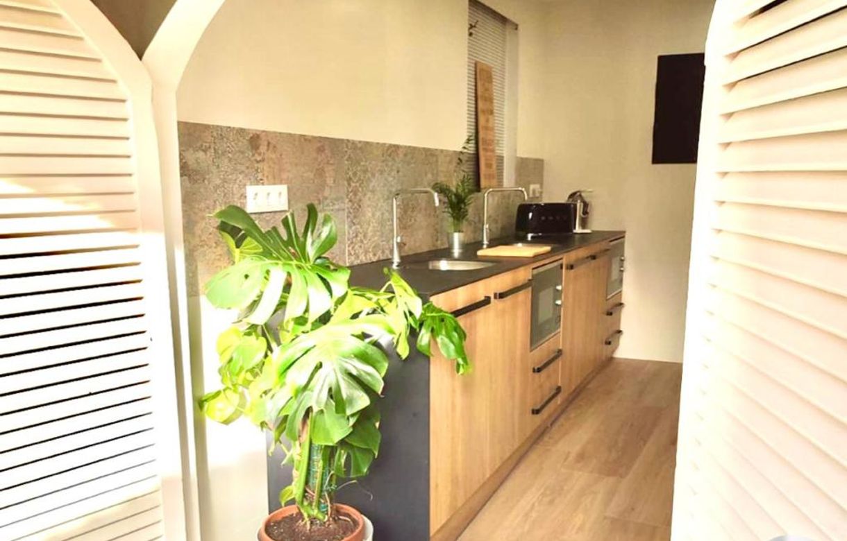 Coworking sant quirze - Image 5