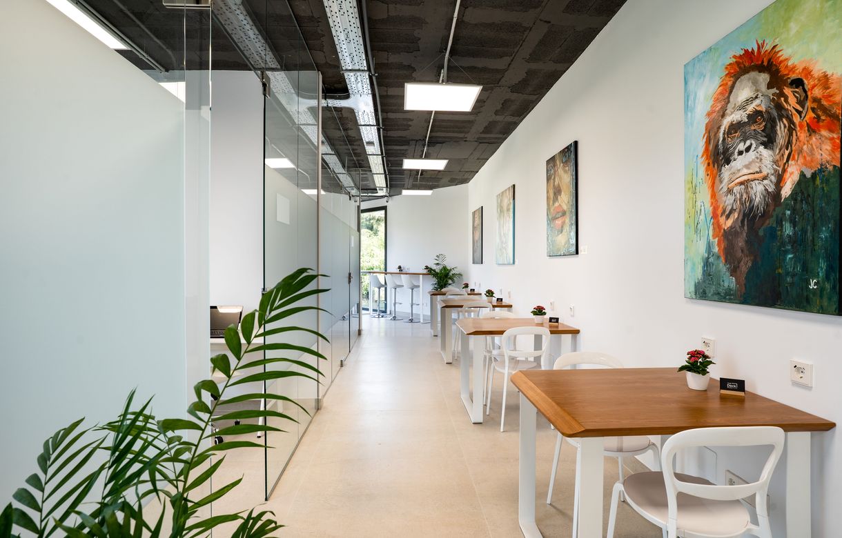 The deck coworking - Image 2