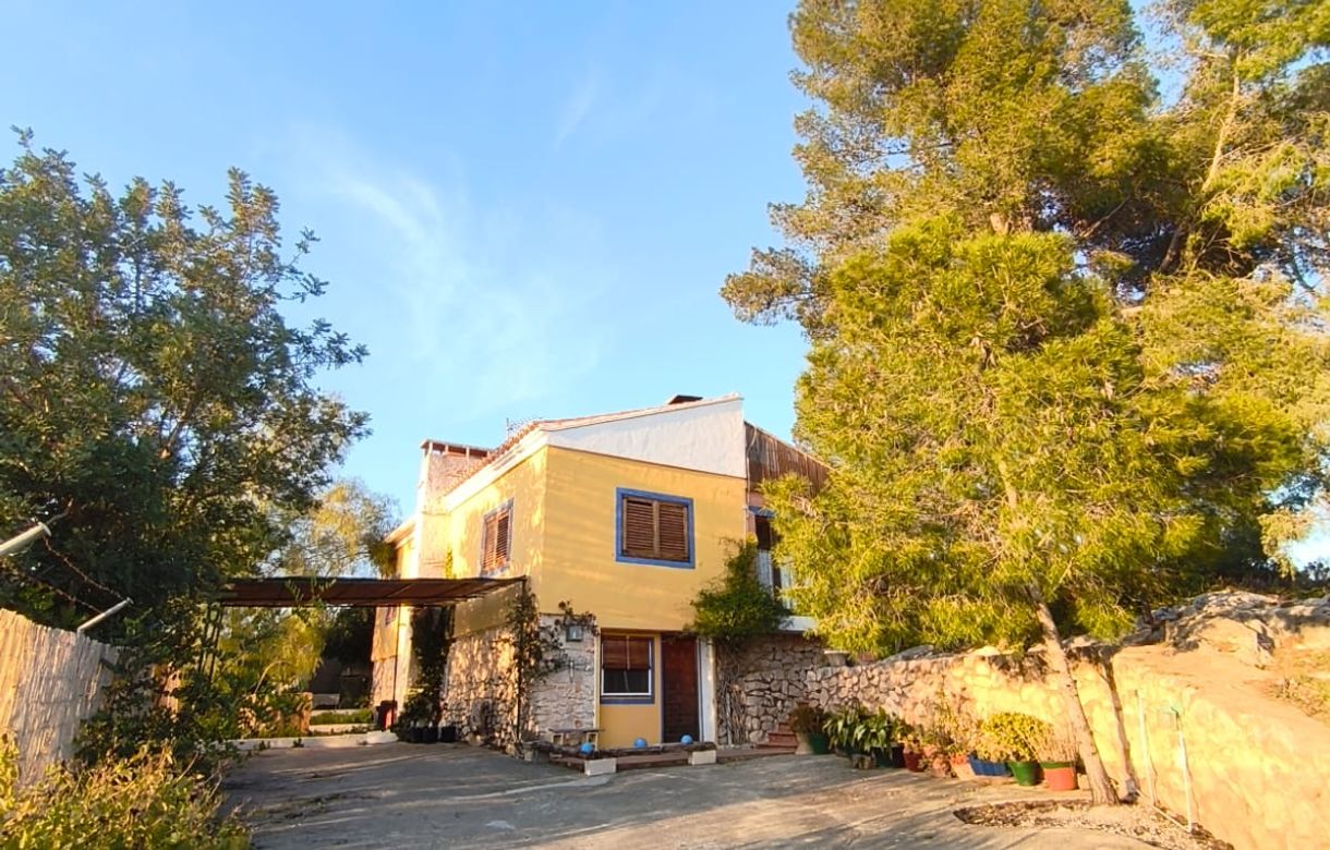 Alquiler estudio valencia