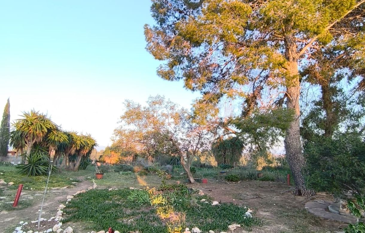 Alquiler estudio valencia - Image 8