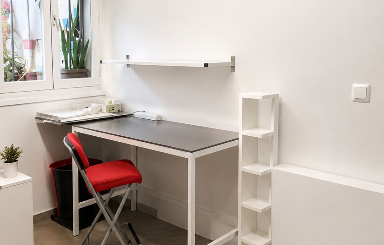 Espacio de trabajo creativo para el colectivo artístico y de otras disciplinas en MALASAÑA - Image 5