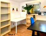 Estudio compartido centro Madrid